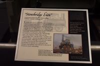 
DSC00368